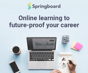 springboard programming languages course